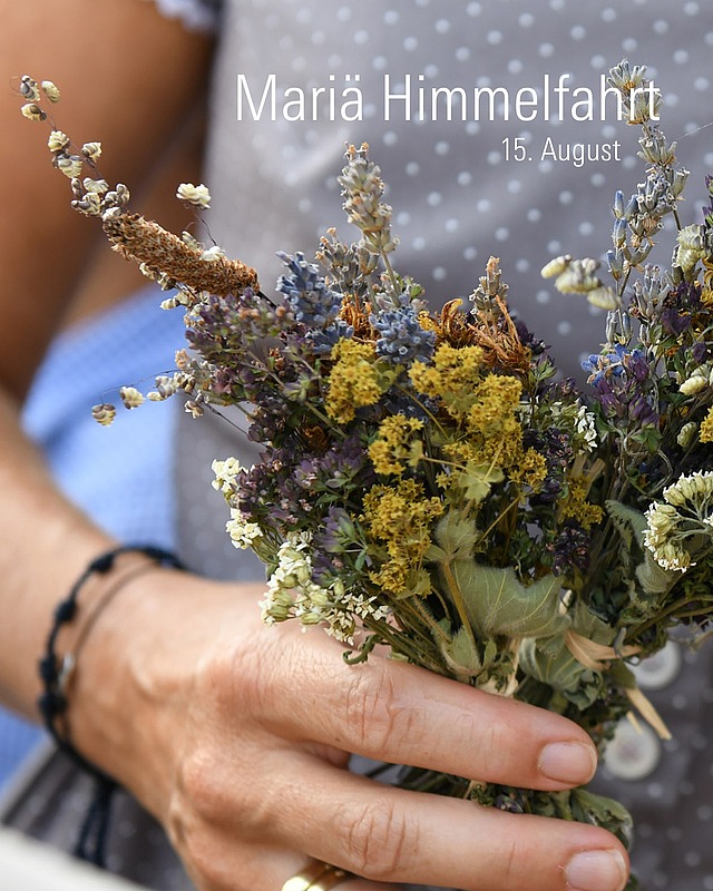 🌿 Kennt ihr den Brauch der Kräuterweihe zu Mariä Himmelfahrt? 
Seit dem 8. Jahrhundert gehört die Kräuterweihe zu diesem Hochfest. Dabei werden duftende Sträuße aus bis zu 99 verschiedenen Heilkräutern gebunden: z. B. Johanniskraut, Schafgarbe, Wermut, Thymian, Königskerze oder Kamille 🌼🌾🌱 Die geweihten Sträuße werden zuhause oder im Stall aufgehängt – als Segen und Schutz für Haus und Hof. 

✨ Einladung zur Feier in St. Barbara: 
Heute, am 15.08.25 um 18 Uhr, lädt die Gemeinde St. Barbara Würzburg zum Gottesdienst mit Marienfeier ein. Im Anschluss wird mit Dämmerschoppen und Imbiss im Hof weitergefeiert. 
 
#MariäHimmelfahrt #Kräuterweihe #würzburg #katholikentag2026 
Bild: Adobe Stock
