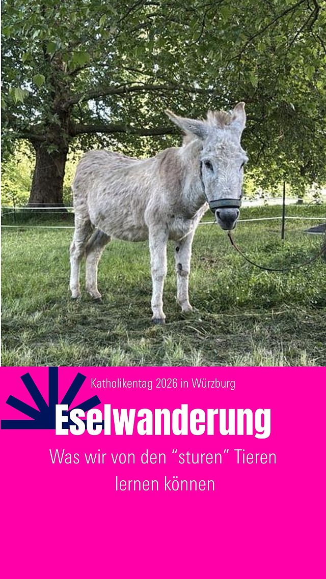 Ein etwas anderer Spaziergang... 🫏 
Bei der Eselwanderung am Main wurde die biblische Geschichte von Bileam und der Eselin mit Impulsen für das eigene Leben verbunden: Wo brauche ich einen neuen Blick? Was übersehe ich gerade? Und wer oder was bringt mich zum Innehalten? 
 
Ein Weg zum Gehen, Nachdenken und Staunen 🌿 
 
Video: Philipp 
#katholikentag2026 
#katholikentag 
#würzburg
