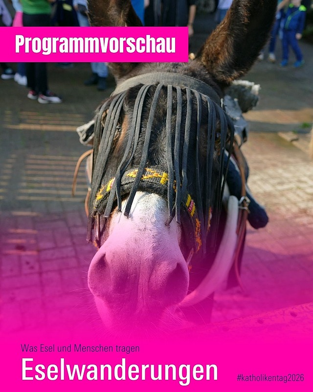 Was Esel und Menschen tragen! 🫏🌿Ein biblischer Eselspaziergang in der Natur … klingt das nicht toll? 
Gemeinsam unterwegs sein, zur Ruhe kommen und entdecken. Ein wunderbarer Programmpunkt, vorbereitet vom Martinusforum Aschaffenburg-Schmerlenbach. 

📍 Startpunkt: Zollhaus (Parkplatz), Frankfurter Str. 120 

📅 Wann? Freitag, 15. Mai 2026 zu unterschiedlichen Zeiten: 

🕚 11:00 – 12:30 Uhr, Webcode: LV17 

🕑 14:00 – 15:30 Uhr, Webcode: KG54 

🕟 16:30 – 18:00 Uhr, Webcode: AU81 

Ein besonderes Natur- und Glaubenserlebnis für Groß und Klein. Hätte ich Zeit, würde ich hingehen! 😉🌳 

#Eselspaziergang #Naturerleben #GlaubeImAlltag #katholikentag #würzburg #katholikentag2026